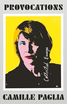 Provocations Collected Essays on Art Feminism Politics Sex and Education