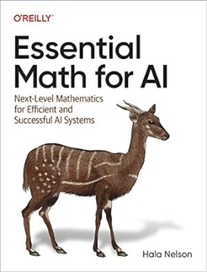 Essential Math for AI Next Level Mathematics for Efficient and Successful AI Systems