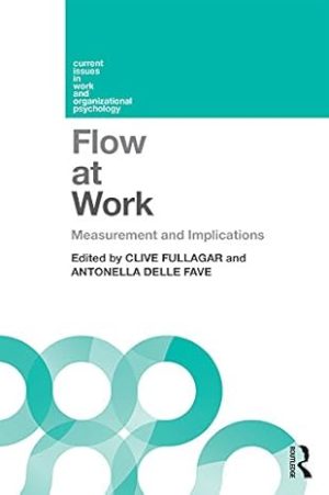 Flow at Work Measurement and Implications
