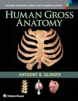 Human Gross Anatomy