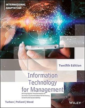 Information Technology for Management 2nd Edition