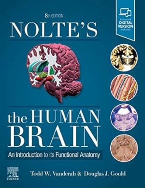 Noltes The Human Brain An Introduction to its Functional Anatomy 8th Edition