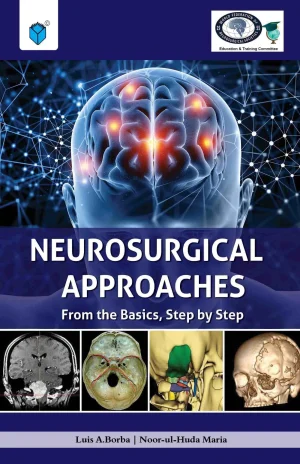 Neurosurgical Approaches From The Basics Step By Step