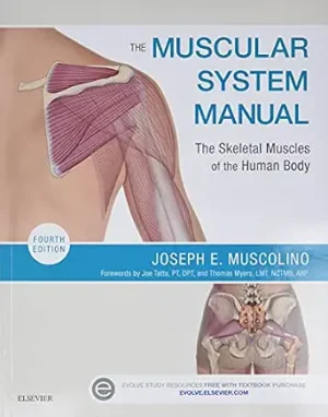 The Muscular System Manual The Skeletal Muscles of the Human Body