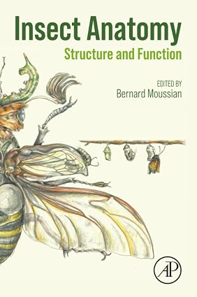 Insect Anatomy Structure and Function