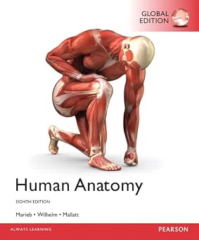 Human Anatomy 8th Edition By Patricia Brady Wilhelm