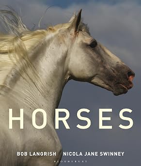 Horses By Nicola Jane Swinney