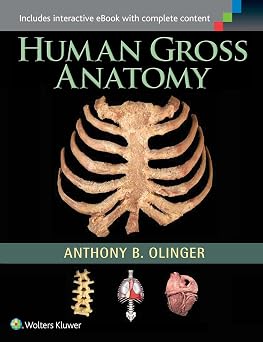Human Gross Anatomy