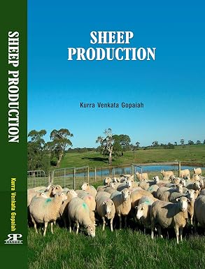 Sheep Production